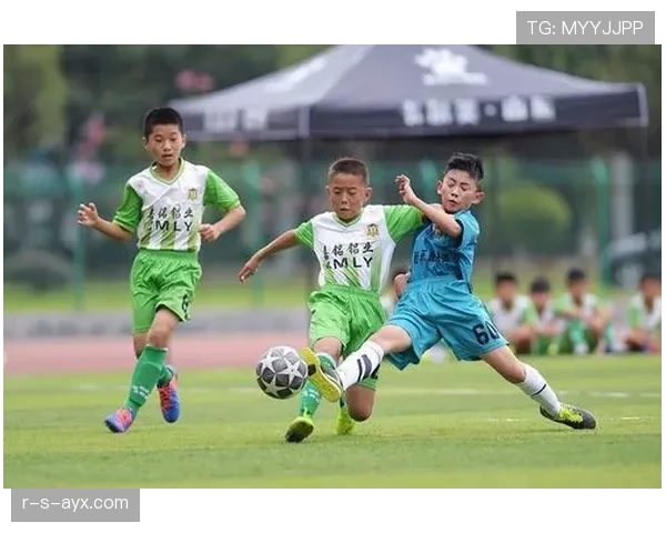 非洲足球青训体系改革遇阻，多方合力培育新一代球星