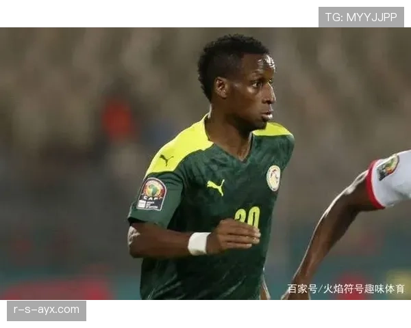 非洲杯最佳阵容出炉，多位球星入选展现赛事顶级水准